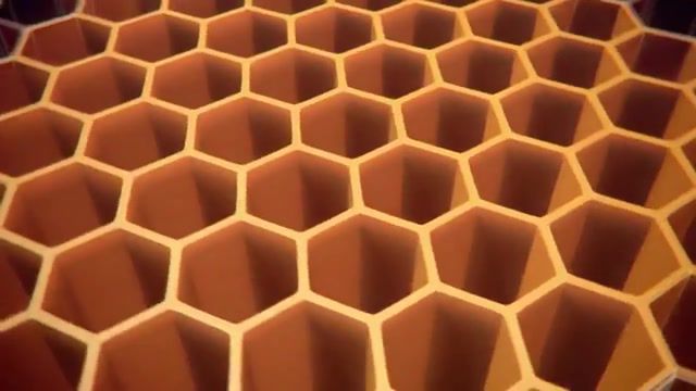 Geometry is the archetype of the beauty of the world. Johannes Kepler, Science, Geometry, Nature, Beehive, Bee, Kepler, Science Technology