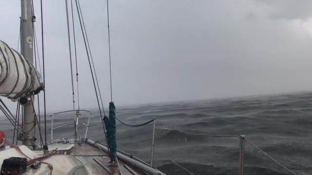 Dandy Oh, Sea, Storm, Yacht, Gulf Of Finland, Sailing, Nature Travel