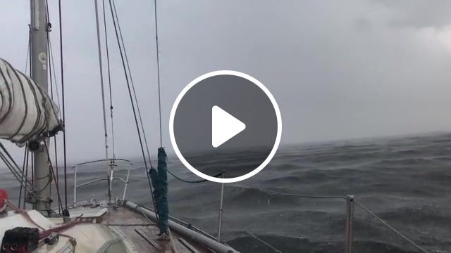 Dandy oh, sea, storm, yacht, gulf of finland, sailing, nature travel. #0