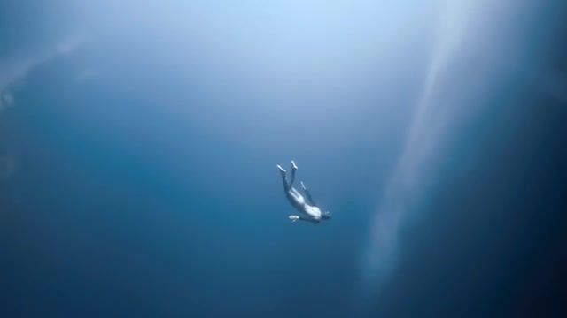Freediving, extreme, under water, ocean, blue hole, freediving, void, abyss, suduaya light through the abyss mix, nature travel.