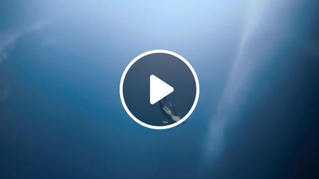 Freediving, extreme, under water, ocean, blue hole, freediving, void, abyss, suduaya light through the abyss mix, nature travel. #0