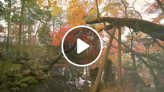 Kyoto japan, japan, nature travel. #1