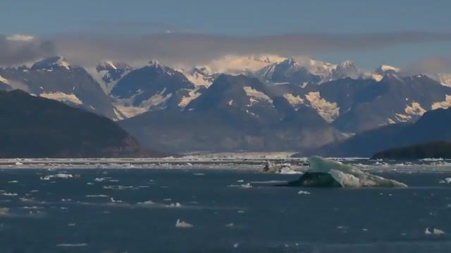 OFFICIAL HD Alaska Wakeboarding teaser from Catchin Air Tv Show 1080p, Alaska Wakeboarding, Alaska Wake, Andy Hurdman, Sean Reyngoudt, Catchin Air, Hydrus Media, Icburg Wakeboarding, Orcas, Puffin, Officialup, Down, Productionsupdown, Productions, Nature Travel
