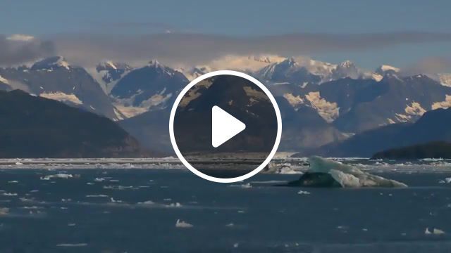 Official hd alaska wakeboarding teaser from catchin air tv show 1080p, alaska wakeboarding, alaska wake, andy hurdman, sean reyngoudt, catchin air, hydrus media, icburg wakeboarding, orcas, puffin, officialup, down, productionsupdown, productions, nature travel. #0