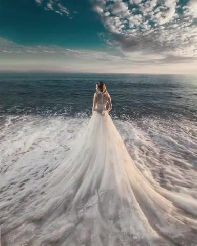 Your wife, eleprimer, cinemagraphs, cinemagraph, ambient, music, ocean, far, voice, aria, water, live pictures.