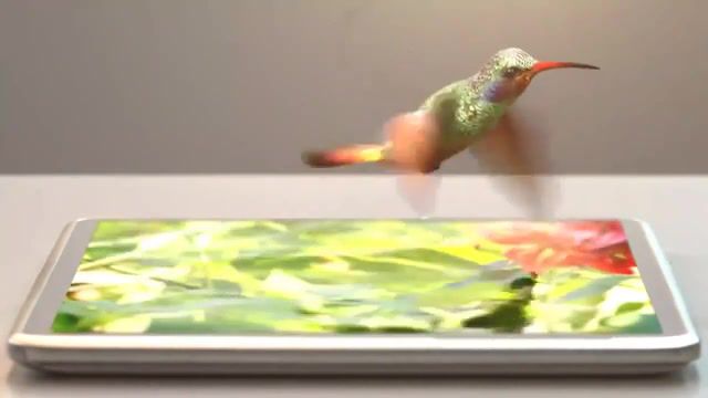 The phone hummingbird, art, art design.