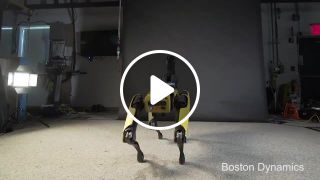 Boston Flex Dynamics
