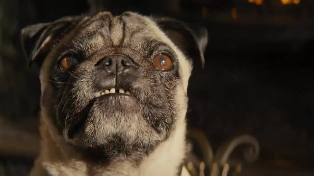 Save the dog tonight, save lives, act now, cancer stories, cancer patients, cancer survivors, anna friel, benedict cumberbatch, gillian anderson, michelle dockery, steve coogan, eddie redmayne, stand up to cancer, ennio morricone, pug, kingsman, mashup.