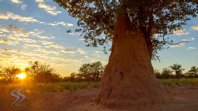 Africa, 4k, Ultra Hd, Africa Continent, African Sky, Timelapse, Dead Vlei, Epupa Falls, Spitzkoppe, Namib Desert Location, Himba People Ethnicity, Heli Shot, Aerial View, Namibia Country, Travel Tv Genre, Simon Skafar, Beauty In Nature, Southern Africa, Natural Phenomenon, Nature Travel