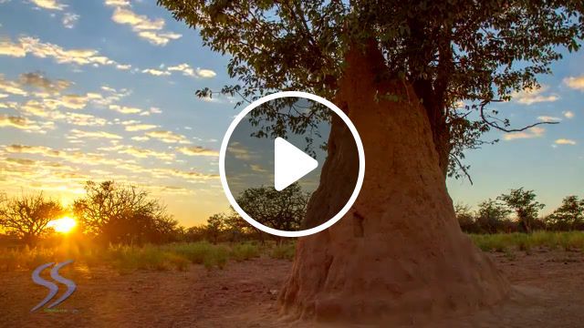 Africa, 4k, ultra hd, africa continent, african sky, timelapse, dead vlei, epupa falls, spitzkoppe, namib desert location, himba people ethnicity, heli shot, aerial view, namibia country, travel tv genre, simon skafar, beauty in nature, southern africa, natural phenomenon, nature travel. #0