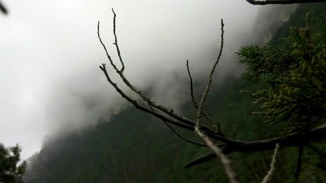 Montain, wood, montain, sky, crimea, timelapse, uad, rebros, relax, nature, the host of seraphim, nature travel.