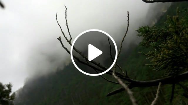 Montain, wood, montain, sky, crimea, timelapse, uad, rebros, relax, nature, the host of seraphim, nature travel. #0