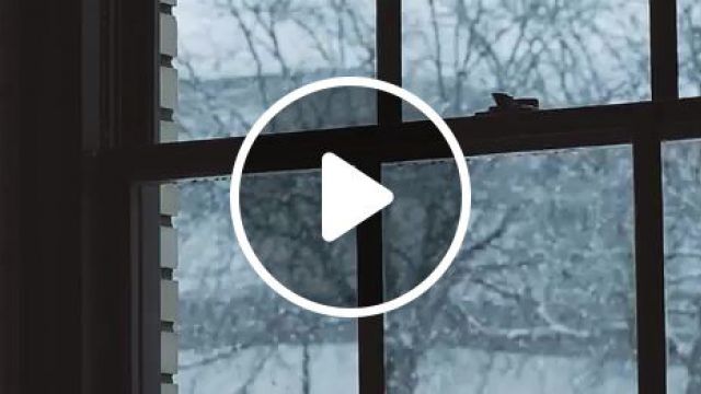 Snowy day in Iowa, Snow, Winter, Slow, Window, Weather, Eleprimer, Cinemagraph, Cinemagraphs, Live Pictures