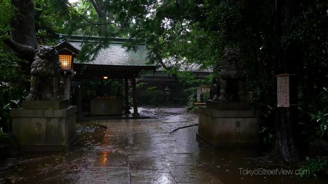 Every part of me says go ahead, rain, rainy season, tokyostreetview, okusawa shrine, tokyo street, japan, tokyo, say lou lou feels like we only go backwards tame impala cover, nature travel.