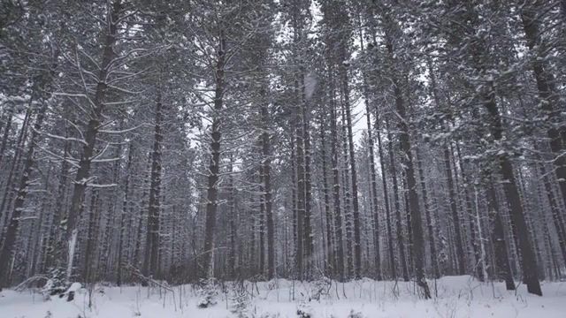 Feelings - Video & GIFs | snowshadows,nature travel