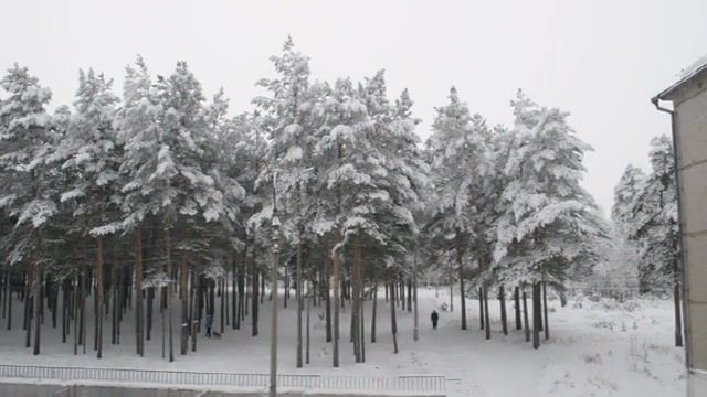 January Bratsk, Snow, Winter, Nature Travel