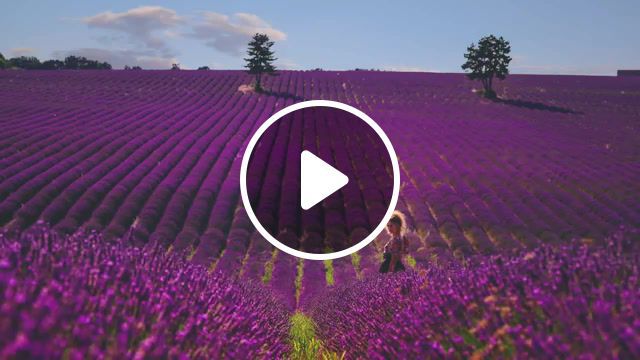 Purple world, cinemagraphs, cinemagraph, living photos, nature, girl, girls, beautiful, photos, models, purple, shkudi, amazing, live pictures. #0