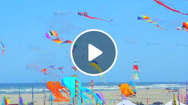 Wind song, lenkdrachen, relaxation and meditation, relaxing views, relaxation, nature documentary, festival, kites, washington state international kite festival, washington state, beautiful views, ultra hd quality, hd, 4k, nature travel. #0