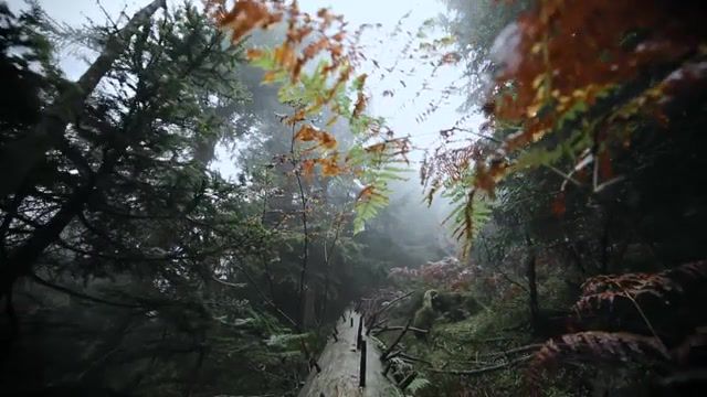 Test of endurance OFFICIAL The Politics and The Life Daniel Pemberton and Gareth Williams King Arthur - Video & GIFs | relax,chill,beautiful,nature,hobbit,the misty mountains cold,black and white,forest,autumn,fall,dji phantom 2,black forest,travel,simon,nature travel
