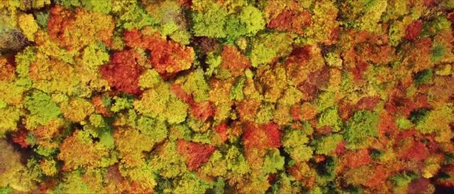 The Glory of Autumn Colours - Video & GIFs | colourful,autumn,colours,fall,cinematic,mountainside,aerial photography,aerial,aerial footage,drone shots,aerial view,trees,forest,coutry side,mavic pro,drone film,fall colors,autumn trees,nature,cinematic drone,austria,drone autumn,dji mavic pro footage,cineamtic drone footage,4k,landscape,beautiful places in the world,amazing landscapes,beautiful places,nature in autumn,drone flight autumn colours,nature travel