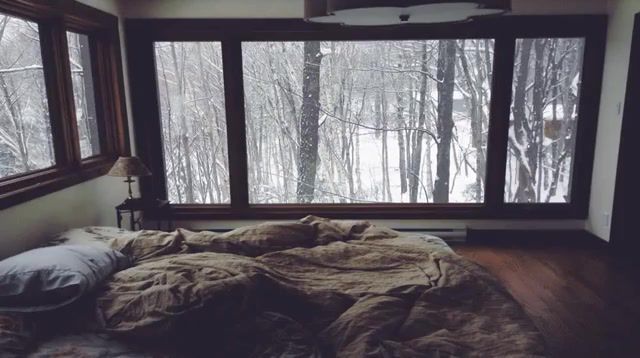 Winter coziness sweet, lights, light, join, ice, snow, winter, like, freeze, music, nice, wow, magic, cool, deep, chill, eleprimer, cinemagraphs, cinemagraph, trip, utro, home, sweet, live pictures.