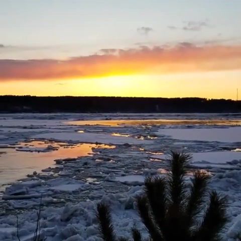 With the flow live, ice drift on tom, tomsk, russia, jeremy soule secunda, nature, live, er life, ice, river, nature travel.