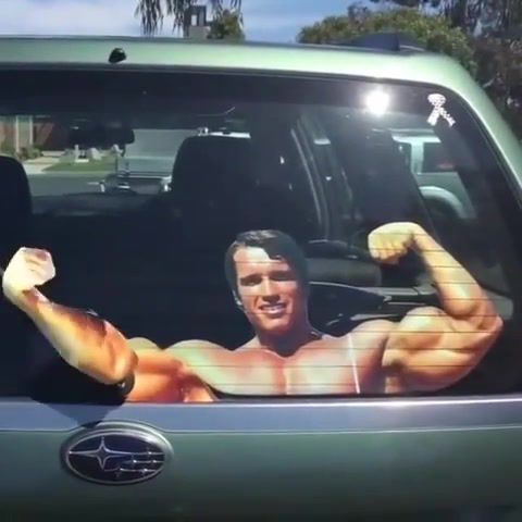 Arnold Wipers, Bestrong, Arnold, Muscle, Biceps, Picebs Wipers, Arnold Wipers, Sports