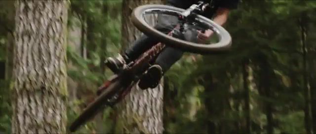 Polynomial c, bike, forest, jump, aphex twin, 4k, ramp, sport, sports.