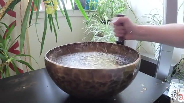 Power of the vibration - Video & GIFs | singing,bowl,play,water,dance,excitement,fun,meditation,structure,vibration,frequencies,physics,energy,science technology