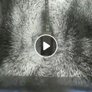 Magnetic field visualized using iron powder