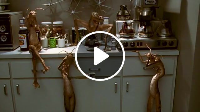 The aliens loves coffee, hybrids, men in black, mib, clips, featurettes, the dead do not die, zombies, zombieland, the walking dead, broken flowers, trailerbattle, mashup. #0