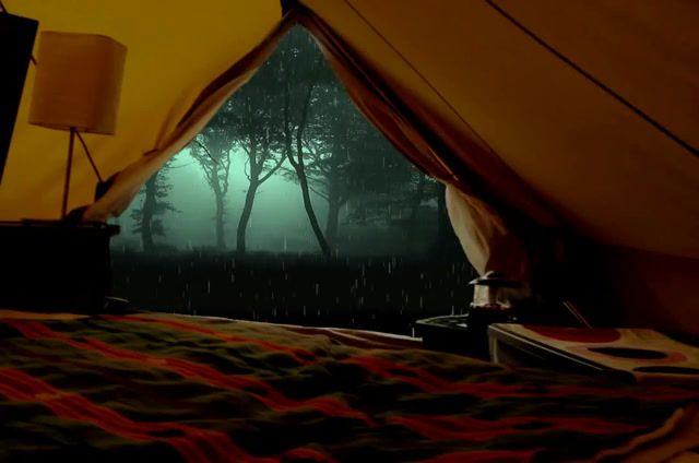 Brown, Asmr, Relax, Tent, Forest, Nature, Rain, Nature Travel