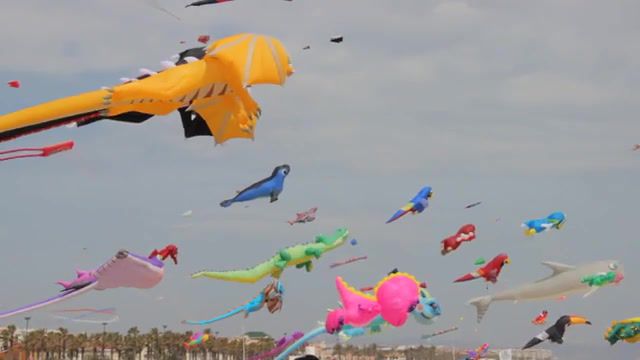 Kites in Valencia, Valencia, Kites, Kite, Wind, Nature Travel