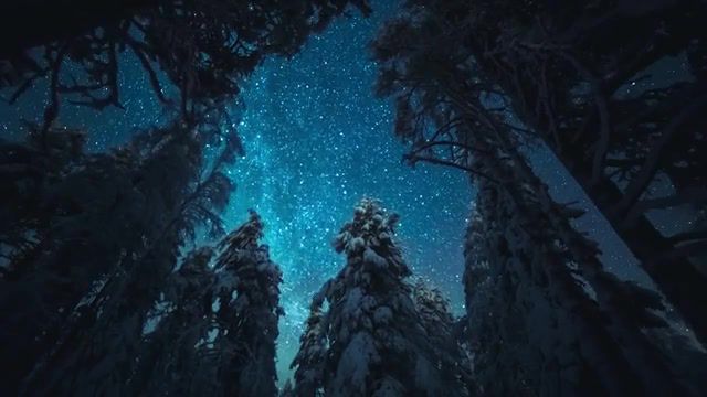 Winter Wonderland Finland, Northern Lights, Milkyway, Winter Wonderland, Winter, Snow, Lapland, Niko Juntunen, Finland, Nature Travel