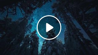 Winter Wonderland Finland