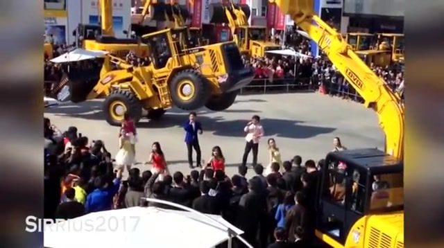 Cat on Indian Party - Video & GIFs | eleprimer,meme,fun,funny,india,music,dance,party,lol,wtf,cars,auto technique