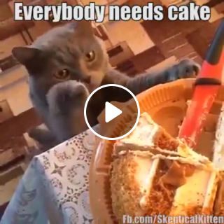 Everybody needs cake
