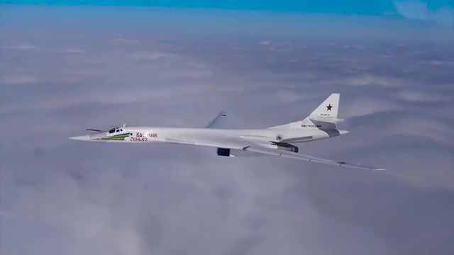 Bomber, dolphin, 713, tu 160, bomber, science technology.