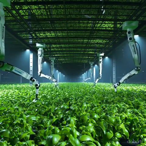 Singularity 2, dabarti cgi, robot, automation, robots, farming, factory, industrial revolution, science technology.