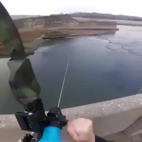 Archery fishing