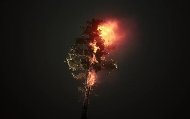 Burning Tree Magpie, Tree, Fire, Burning, Turbulence Fd, Simulation, Music