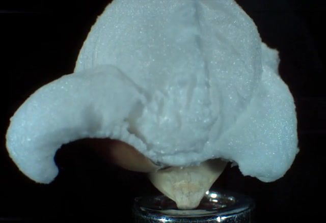 Popping Popcorn at 30,000 FPS in Ultra Slow Motion, Slow Motion, 4k, 4k Slow Motion, Ultra Slow Motion, High Speed, Ultra High Speed, Popcorn, Popping Popcorn, Experiment, Frames, Motion, Slow, Popping, Amazing, Food, Pop, Clip, Slow Mo, Slow Mo Clips, Food Kitchen