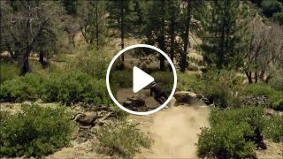 Aaron Gwin Blazes a Downhill MTB Trail in California