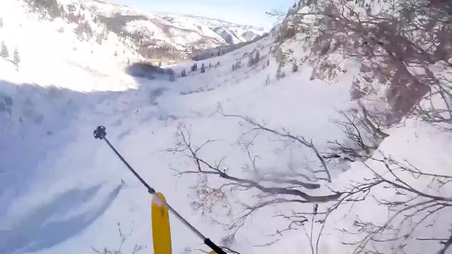 Lucky skier