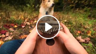 Can't Help Falling In Love on a Kalimba