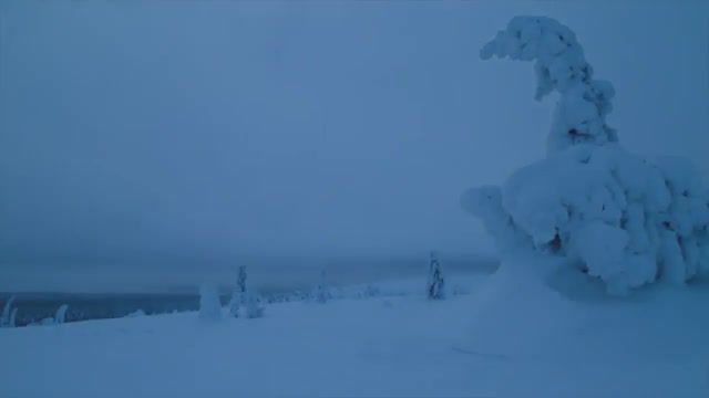 Finland, Russian Circles Sinaia, Russian Circles, Nightsky, Nature, Snow, Stars, Sky, Finland, Winter, Cold, Nature Travel
