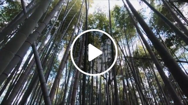 Japan nature, nature, japan, music, nature travel. #0