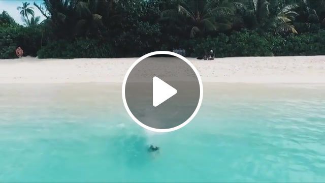 The cean and me, markus schulz feat adina butar you and i mp3, home tour, maldives, sea, cean, nature travel. #0