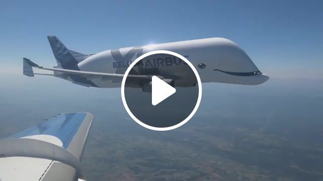 Aircraft beluga epic flying, aircraft, plane, cargo, giant, science technology. #0