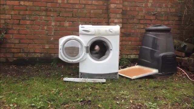 Just perfect, fail, machine, washing machine, funny, cs urhe, science technology.